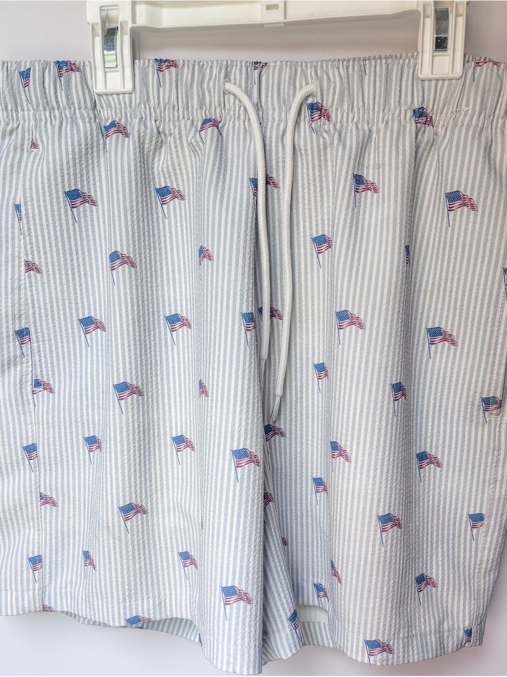 Mens Hollister Swim Trunk Stripes with Flag Print - Light Blue & White